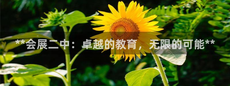 果搏东方客服：**会展二中：卓越的教育，无限的可能**