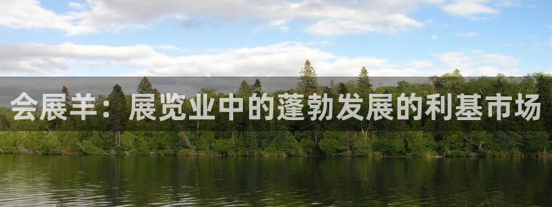果博平台真实吗安全吗可靠吗：会展羊：展览业中的蓬勃发展的利基市场