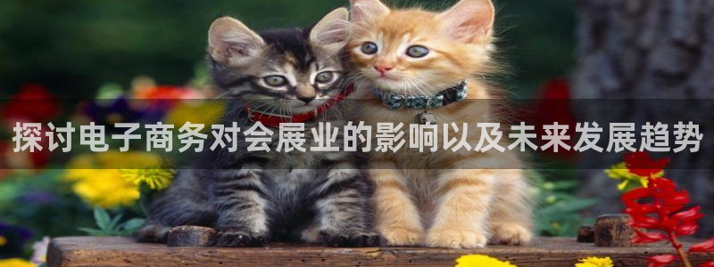 果博公司客服怎么样：探讨电子商务对会展业的影响以及未来发展趋势