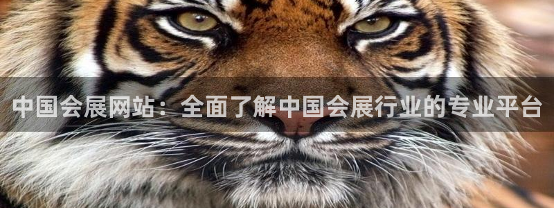 果博真人：中国会展网站：全面了解中国会展