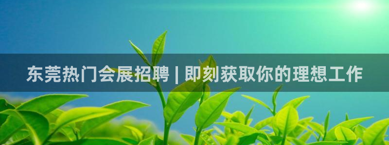 果博怎么注册账号：东莞热门会展招聘 | 