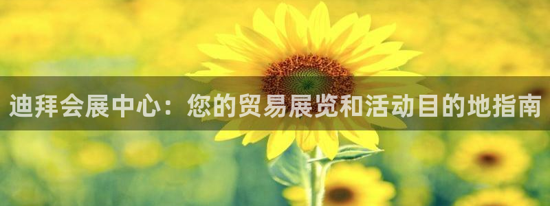 果博注册平台怎么注册：迪拜会展中心：您的