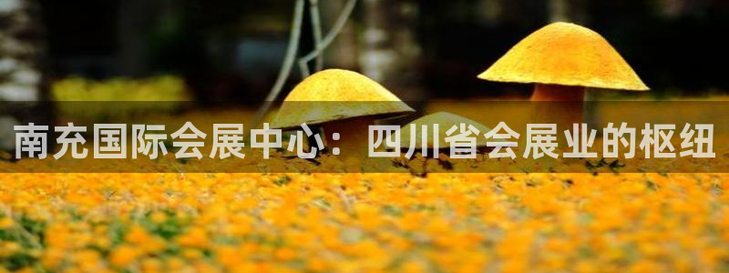 果博公司会员注册：南充国际会展中心：四川省会展业的枢纽