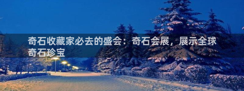 果博代理：奇石收藏家必去的盛会：奇石会展，展示全球
奇石珍宝