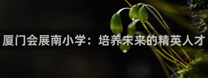果博注册客服电话号码：厦门会展南小学：培养未来的精英人才