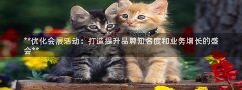 果博代理怎么注册：**优化会展活动：打造