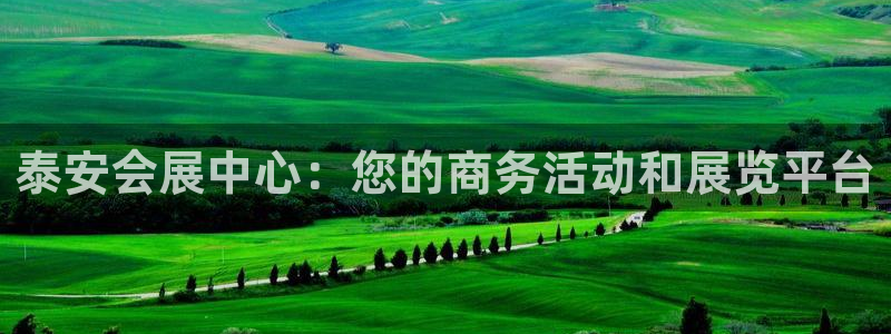 果博网站二维码：泰安会展中心：您的商务活动和展览平台