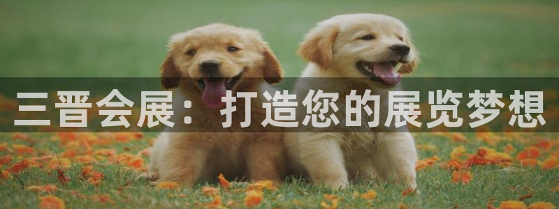 果博注册会员：三晋会展：打造您的展览梦想
