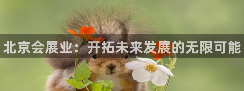 果博平台链接：北京会展业：开拓未来发展的无限可能