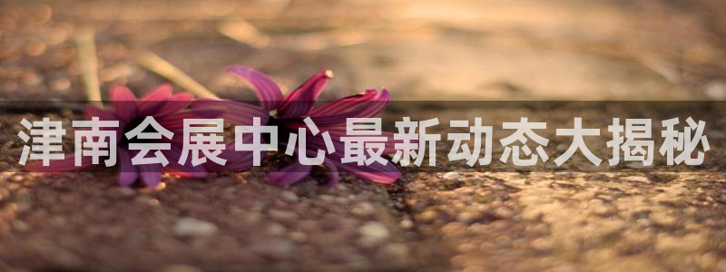 果博环保公司：津南会展中心最新动态大揭秘