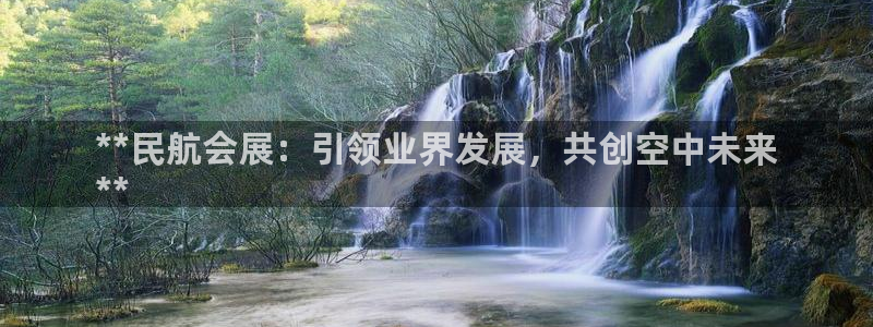 果博集团：**民航会展：引领业界发展，共