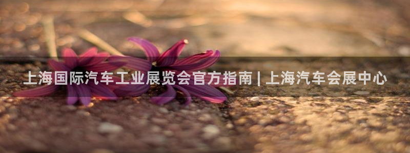 果博平台真实吗安全吗可信吗安全吗：上海国