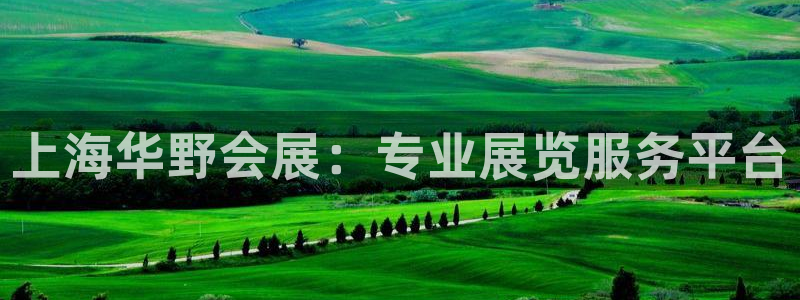 手机怎样下载果博：上海华野会展：专业展览服务平台