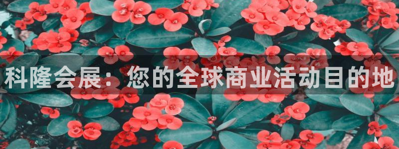 果博官网客服：科隆会展：您的全球商业活动目的地