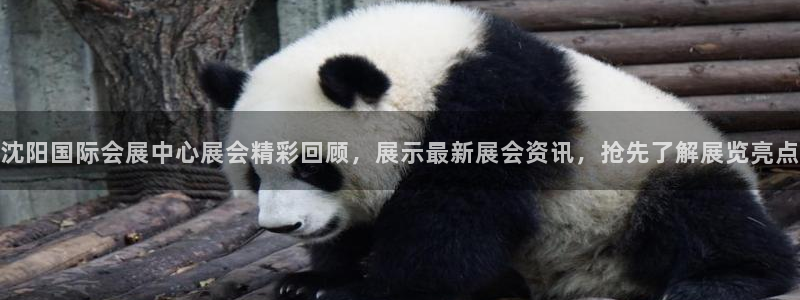 果博注册客服电话号码是多少