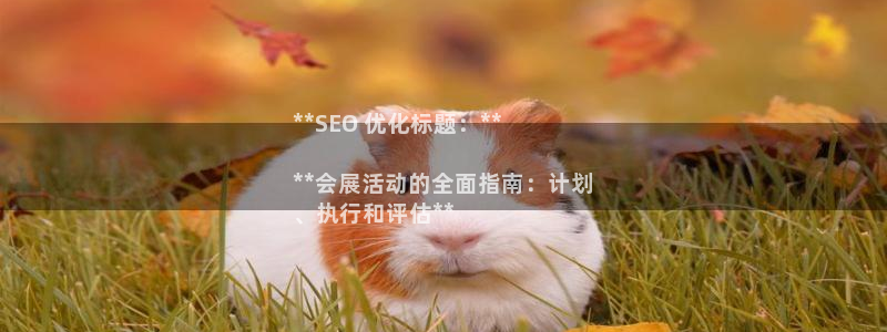 果博平台真实吗安全吗：**SEO 优化标题：**

**会展活动的全面指南：计划
、执行和评估**