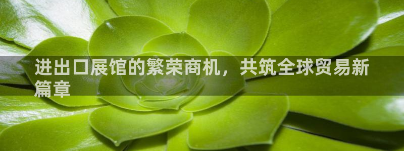 果博公司网站：进出口展馆的繁荣商机，共筑全球贸易新
篇章