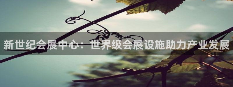 果博公司会员注册账号：新世纪会展中心：世
