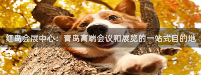 果博客服微信是多少：红岛会展中心：青岛高端会议和展览的一站式目的地