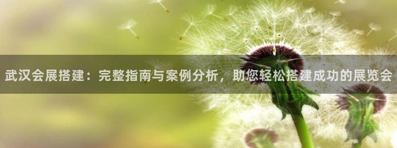果博公司开户：武汉会展搭建：完整指南与案例分析，助您轻松搭建成功的展览会