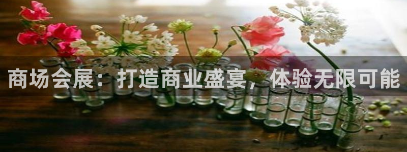 苹果电脑怎么下载伯索：商场会展：打造商业