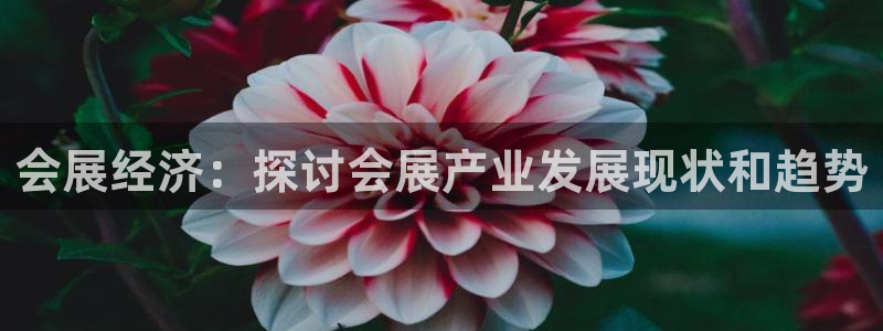 果博公司电话：会展经济：探讨会展产业发展现状和趋势