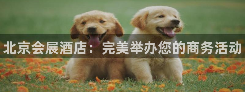 果博平台真实吗安全吗可信吗：北京会展酒店：完美举办您的商务活动