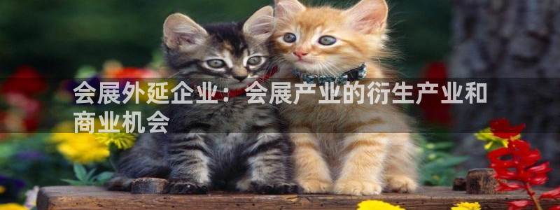 果博公司：会展外延企业：会展产业的衍生产