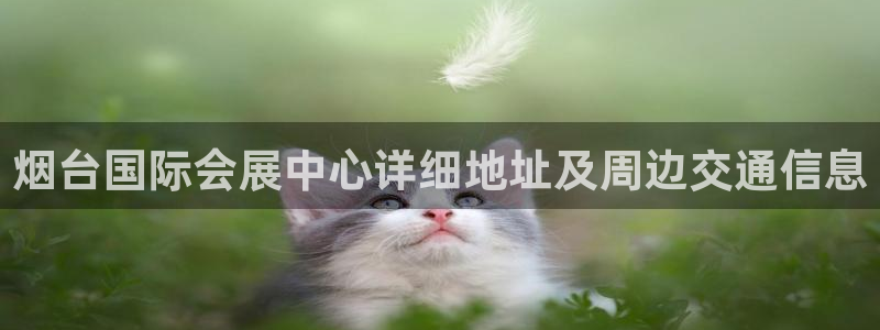果博平台客服电话：烟台国际会展中心详细地址及周边交通信息