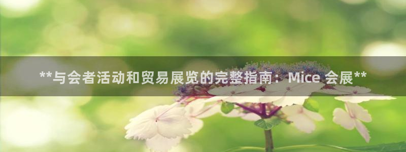 果博公司客服电话多少：**与会者活动和贸易展览的完整指南：Mice 会展**