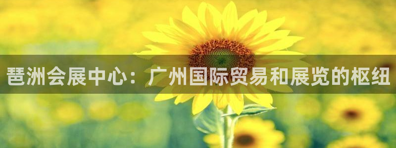 果博公司游戏网址：琶洲会展中心：广州国际贸易和展览的枢纽