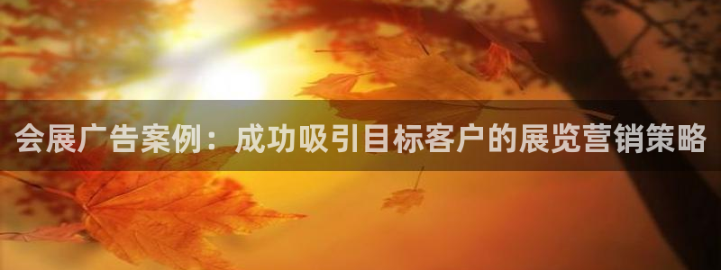 果博注册会员维wckk389：会展广告案
