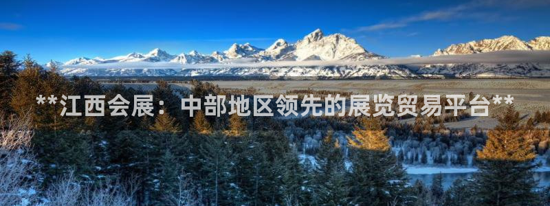 果博公司网站：**江西会展：中部地区领先的展览贸易平台**