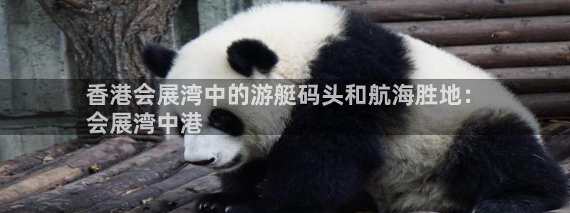 果博公司会员注册：香港会展湾中的游艇码头和航海胜地