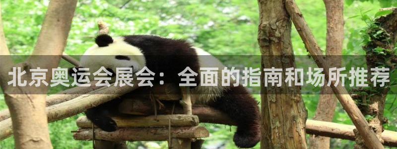 果博公司直属会员开户：北京奥运会展会：全