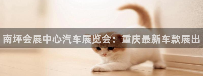 果博公司客服微信