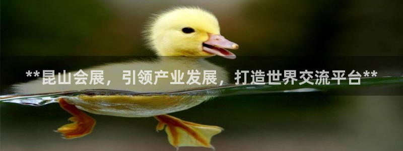果博公司客服微信：**昆山会展，引领产业发展，打造